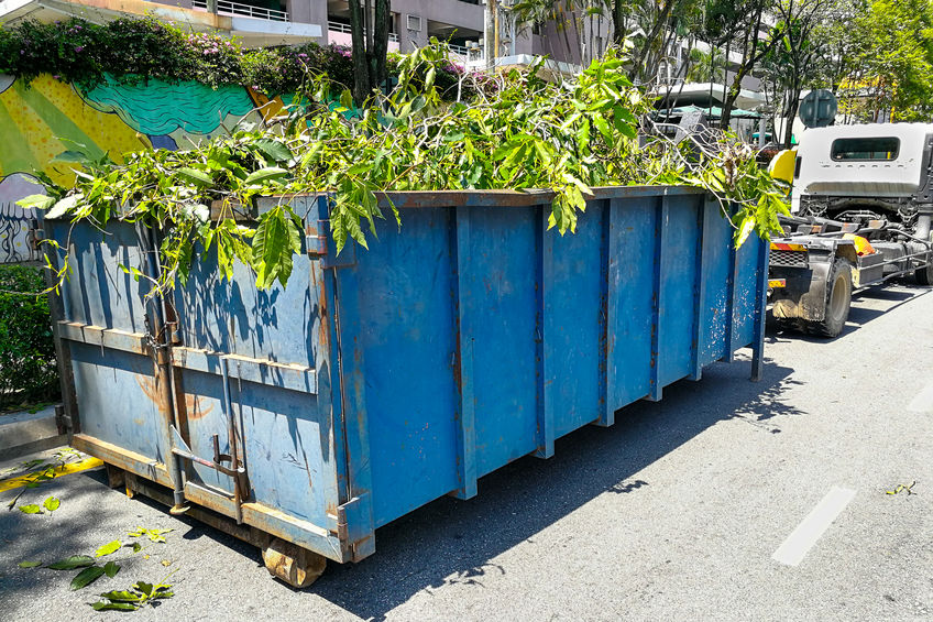 Garbage container full of chopped trees